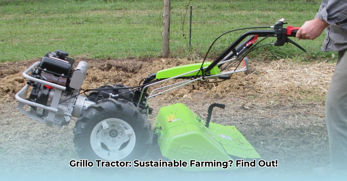 grillo-walk-behind-tractor
